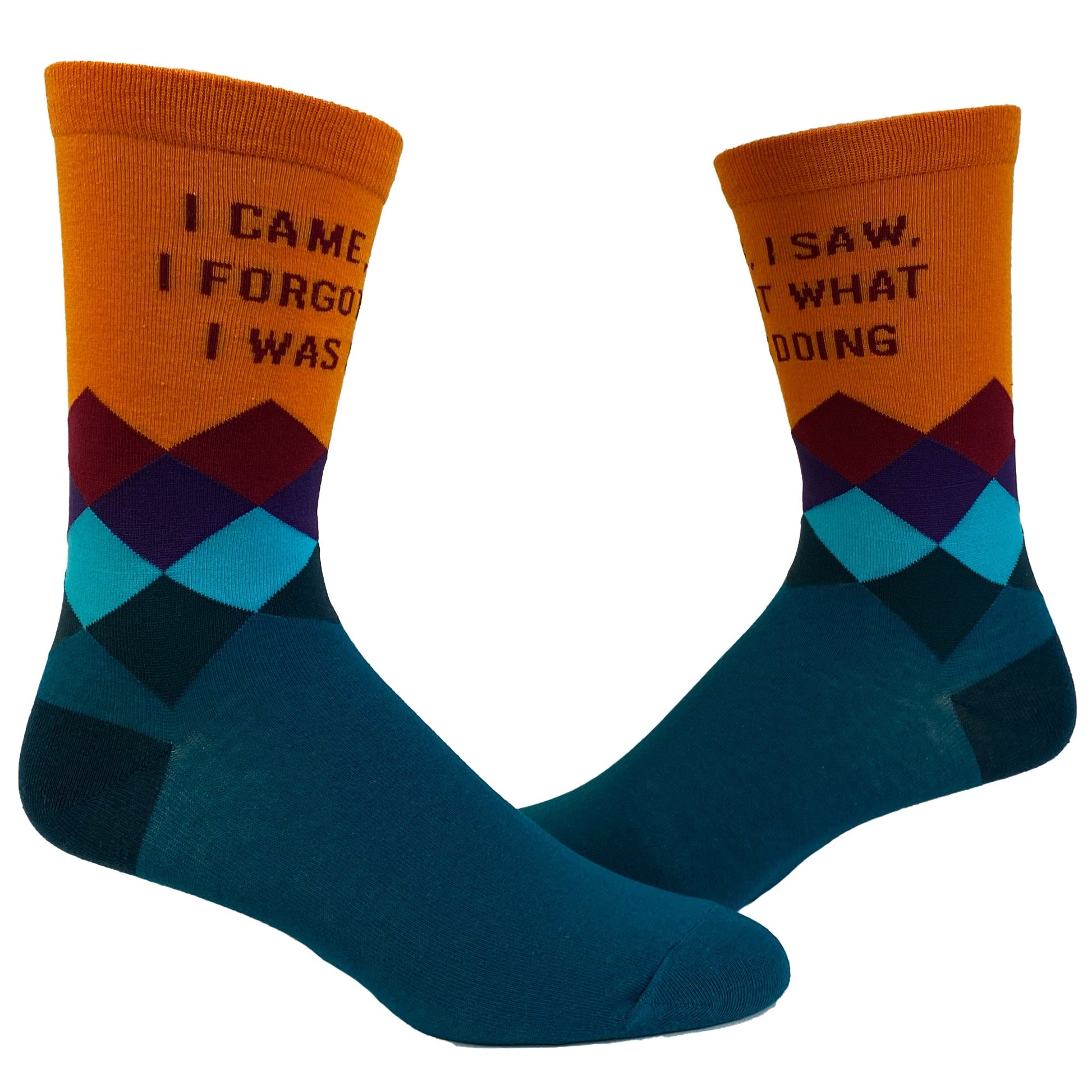 Womens I Came I Saw I Forgot What I Was Doing Socks