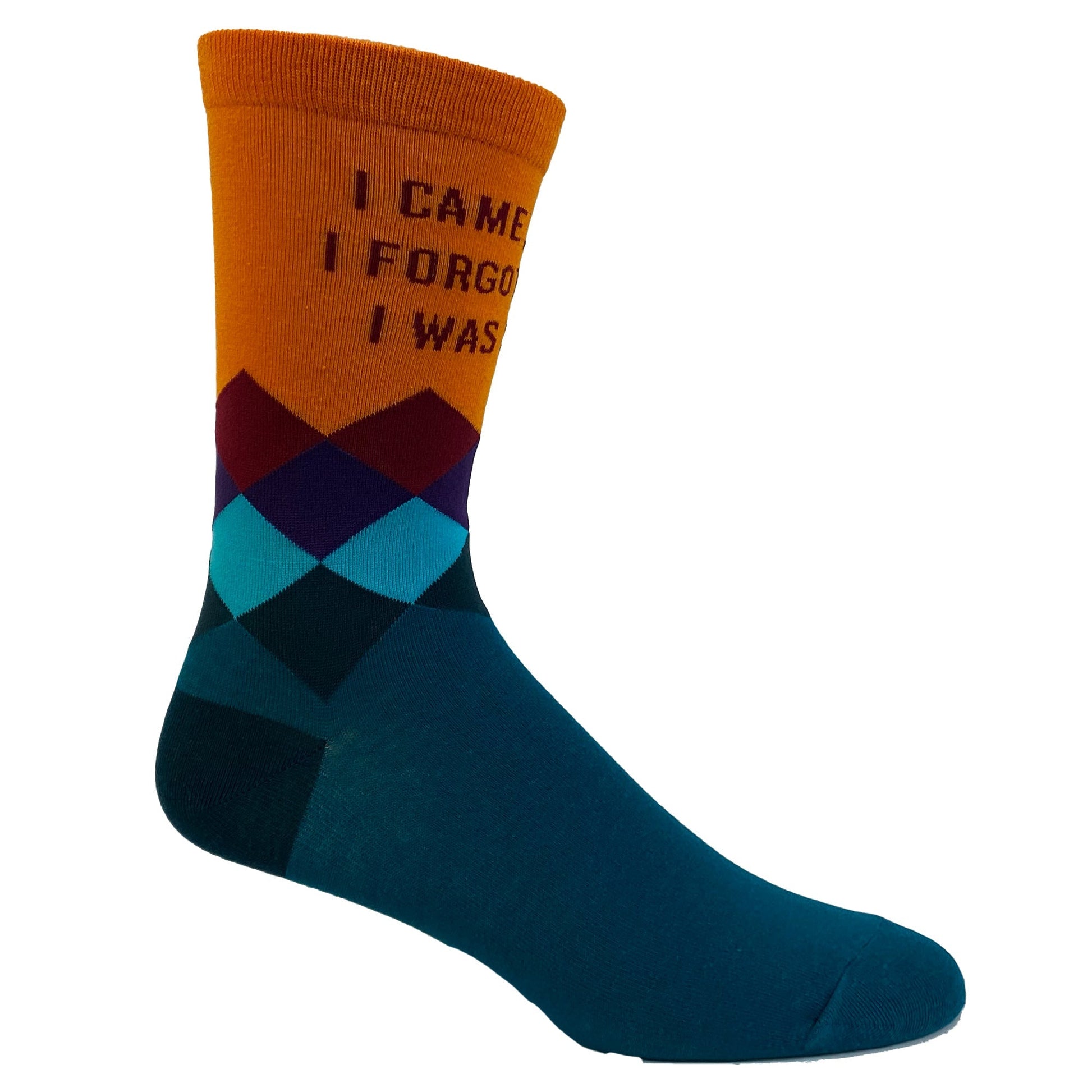 Womens I Came I Saw I Forgot What I Was Doing Socks