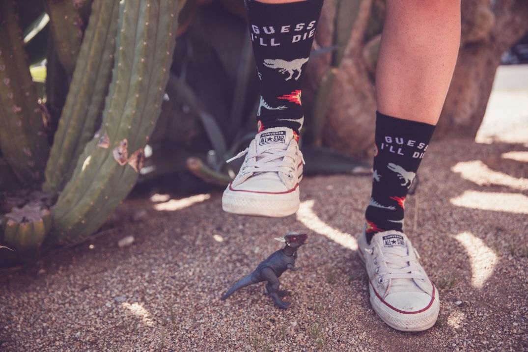 Womens Guess I'll Die Socks