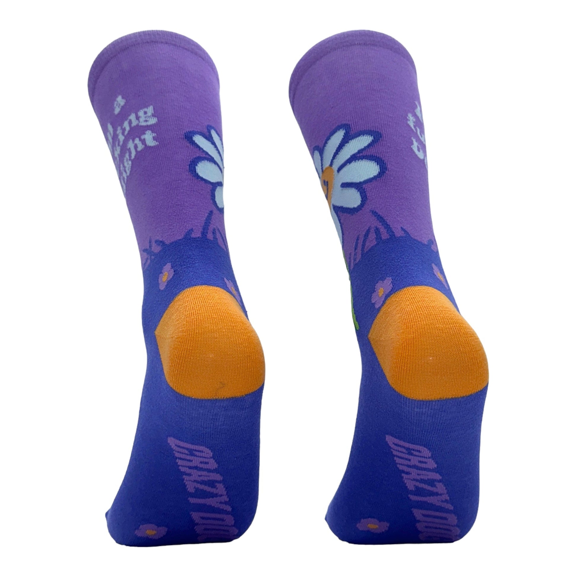 Women’s Socks – Everyday Comfort and Quality