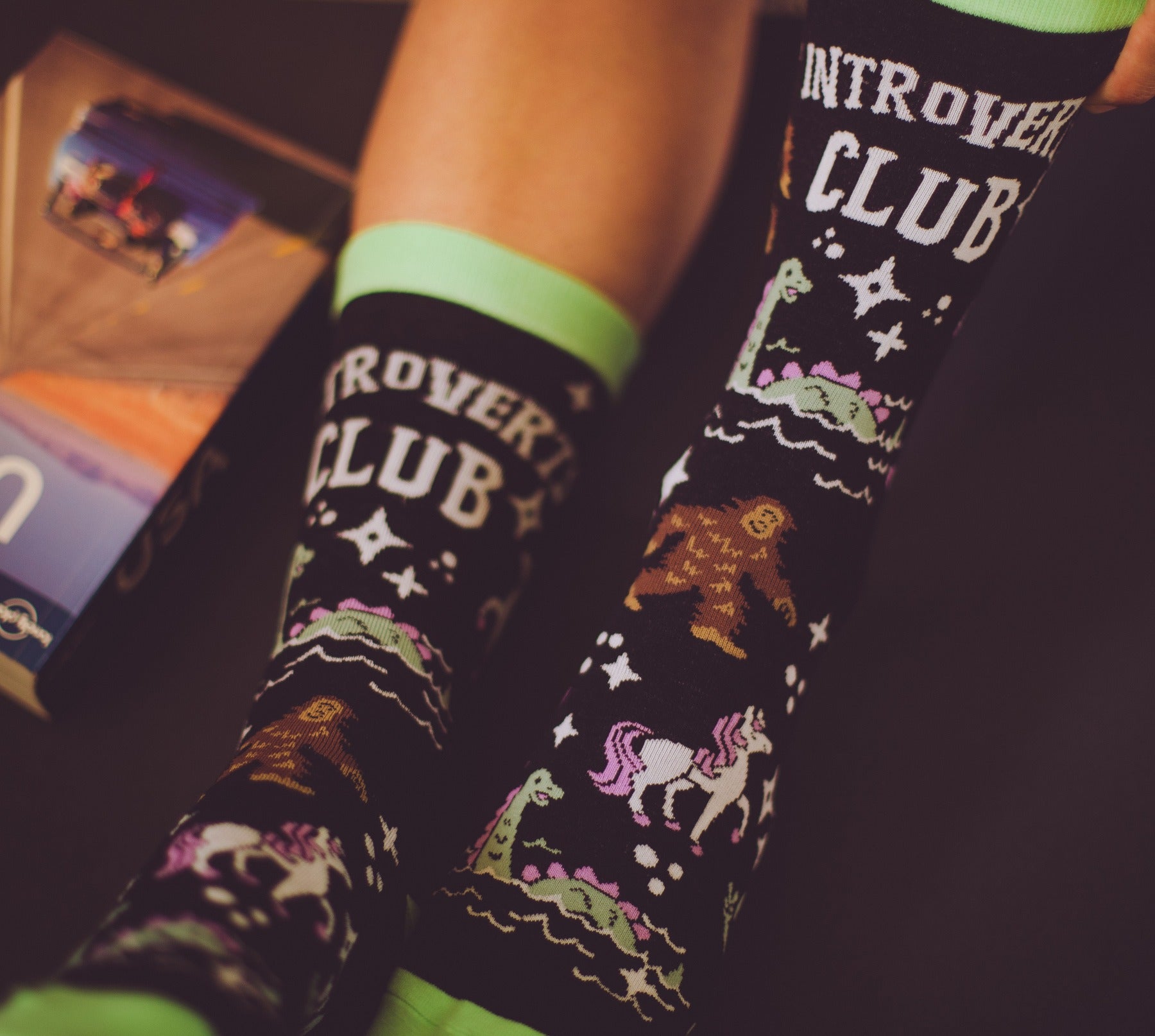 Womens Introverts Club Socks