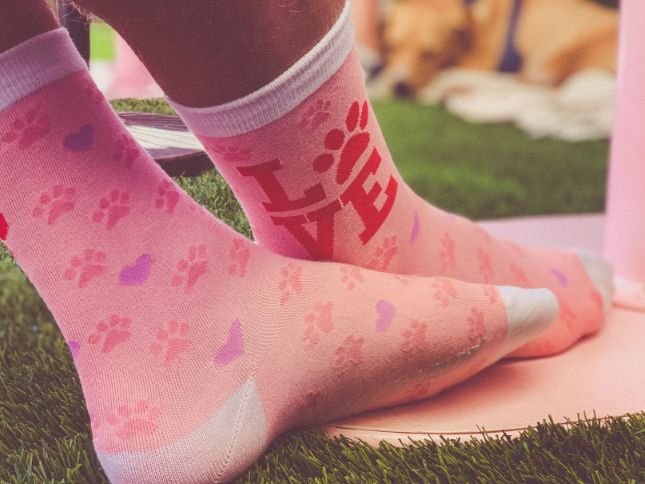Womens Love Paw Socks
