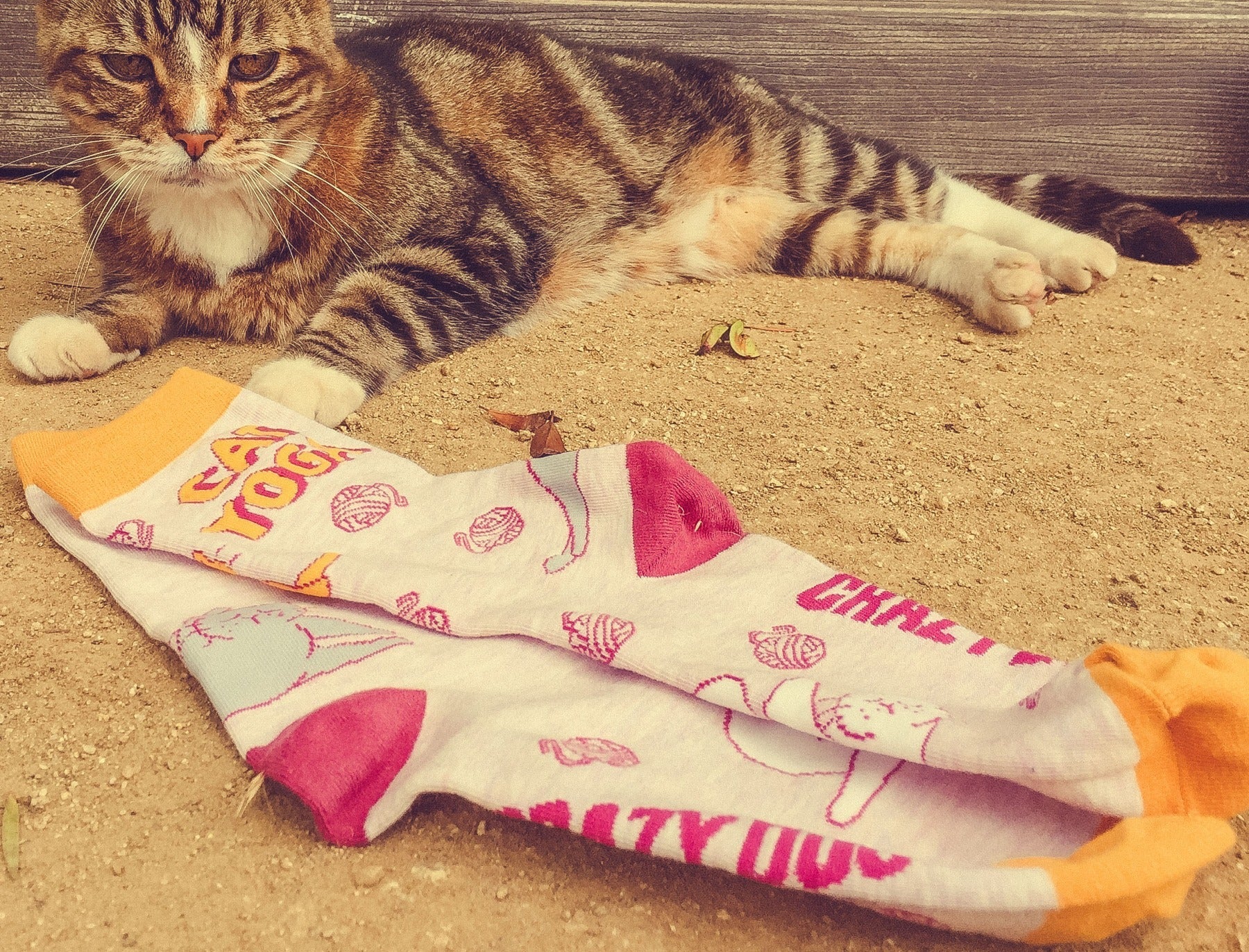 Women's Cat Yoga Socks