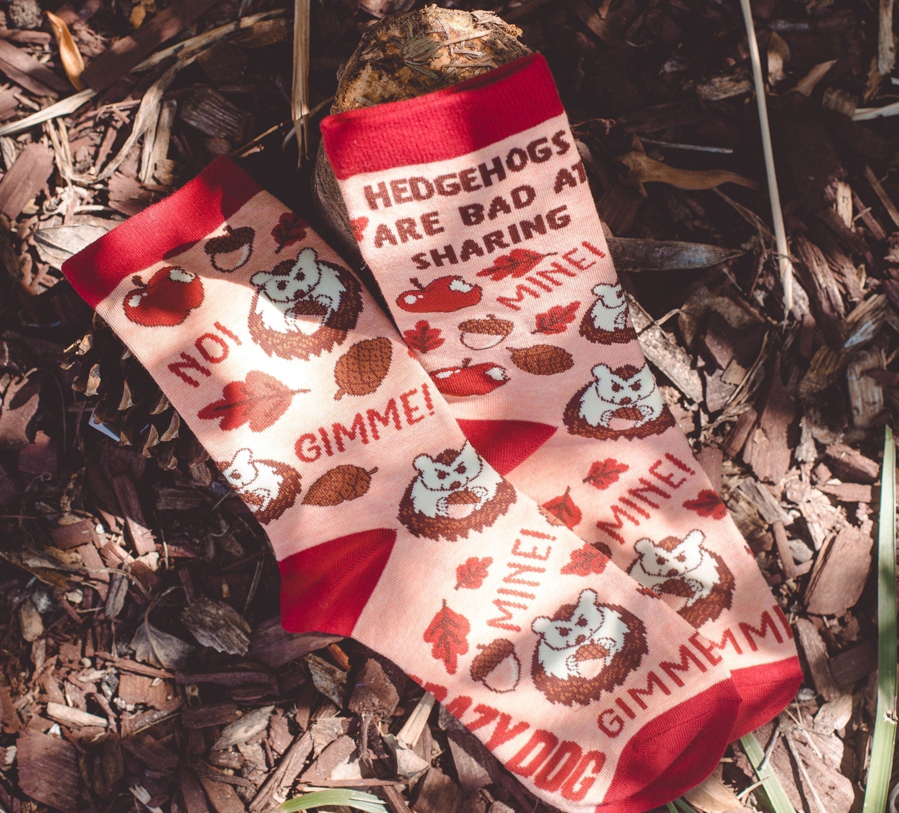 Women's Hedgehogs Are Bad At Sharing Socks