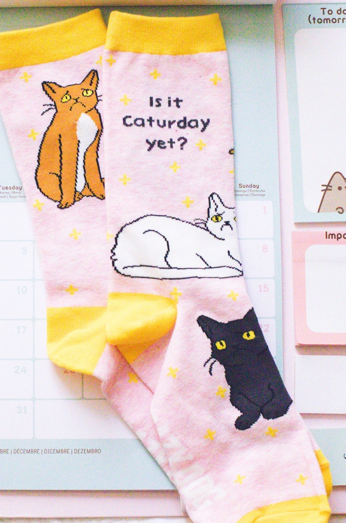 Women's Is It Caturday Yet Socks